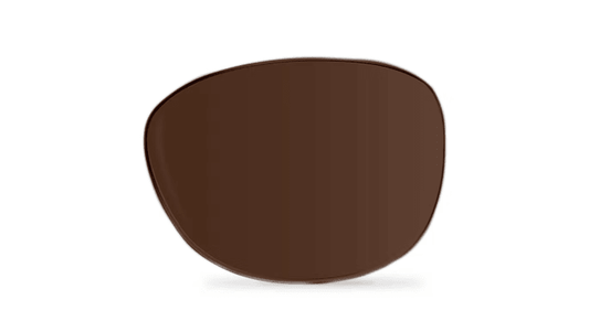 Brown Transition Lenses - Bôhten Eyewear
